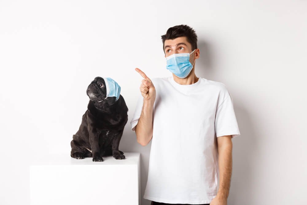 How can I eliminate foul dog odor and prevent it