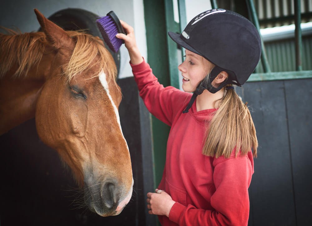 teenage girl brushing her horses coat