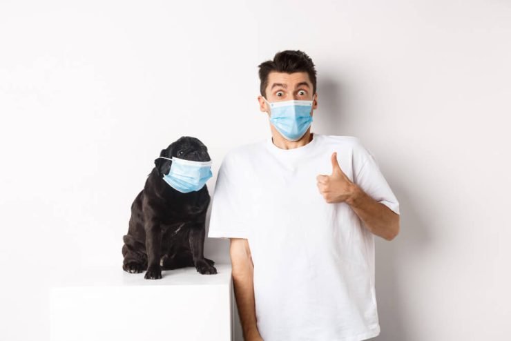 How to avoid dog odor